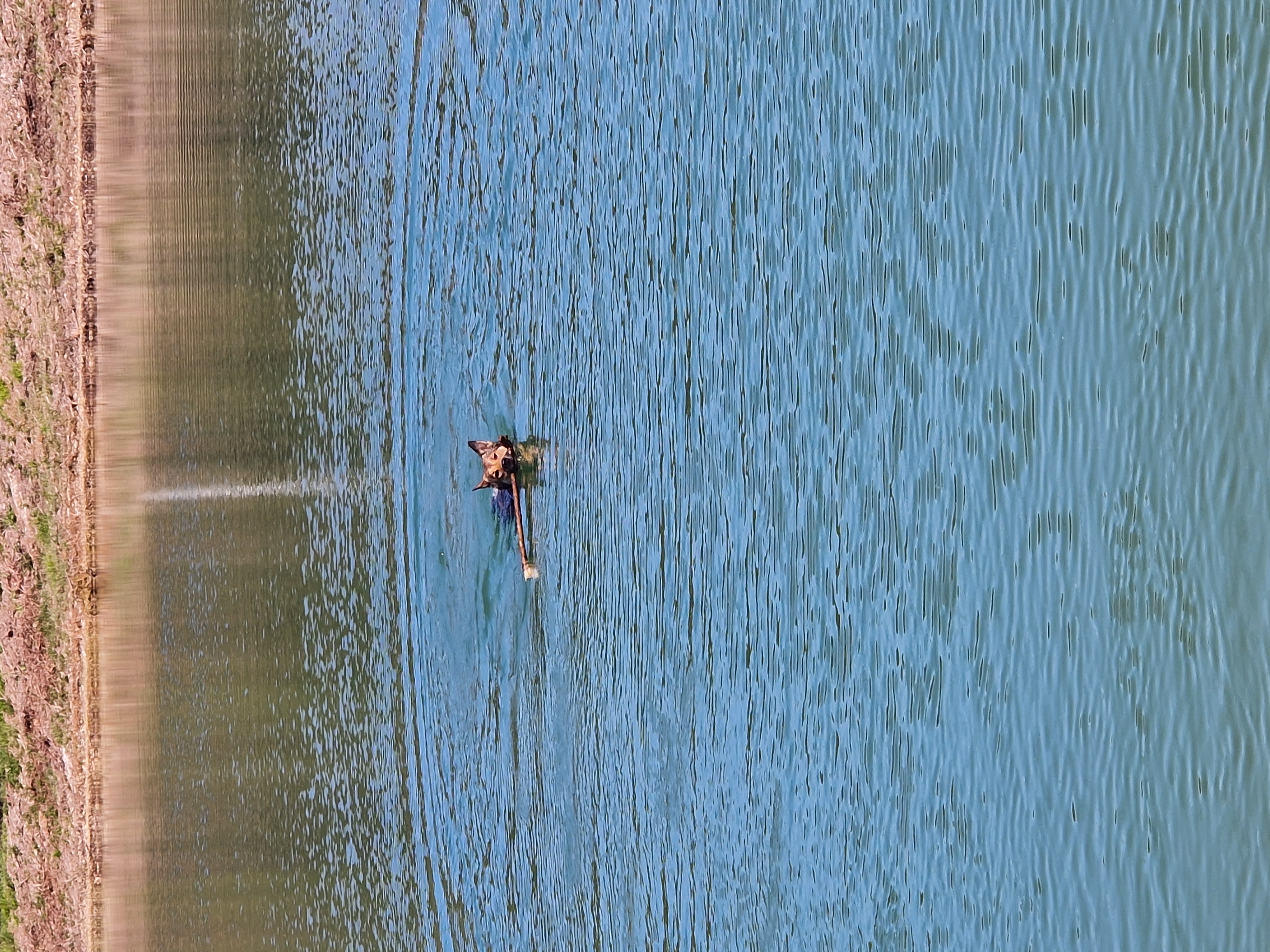 Photo 2 de Balade du bûcher