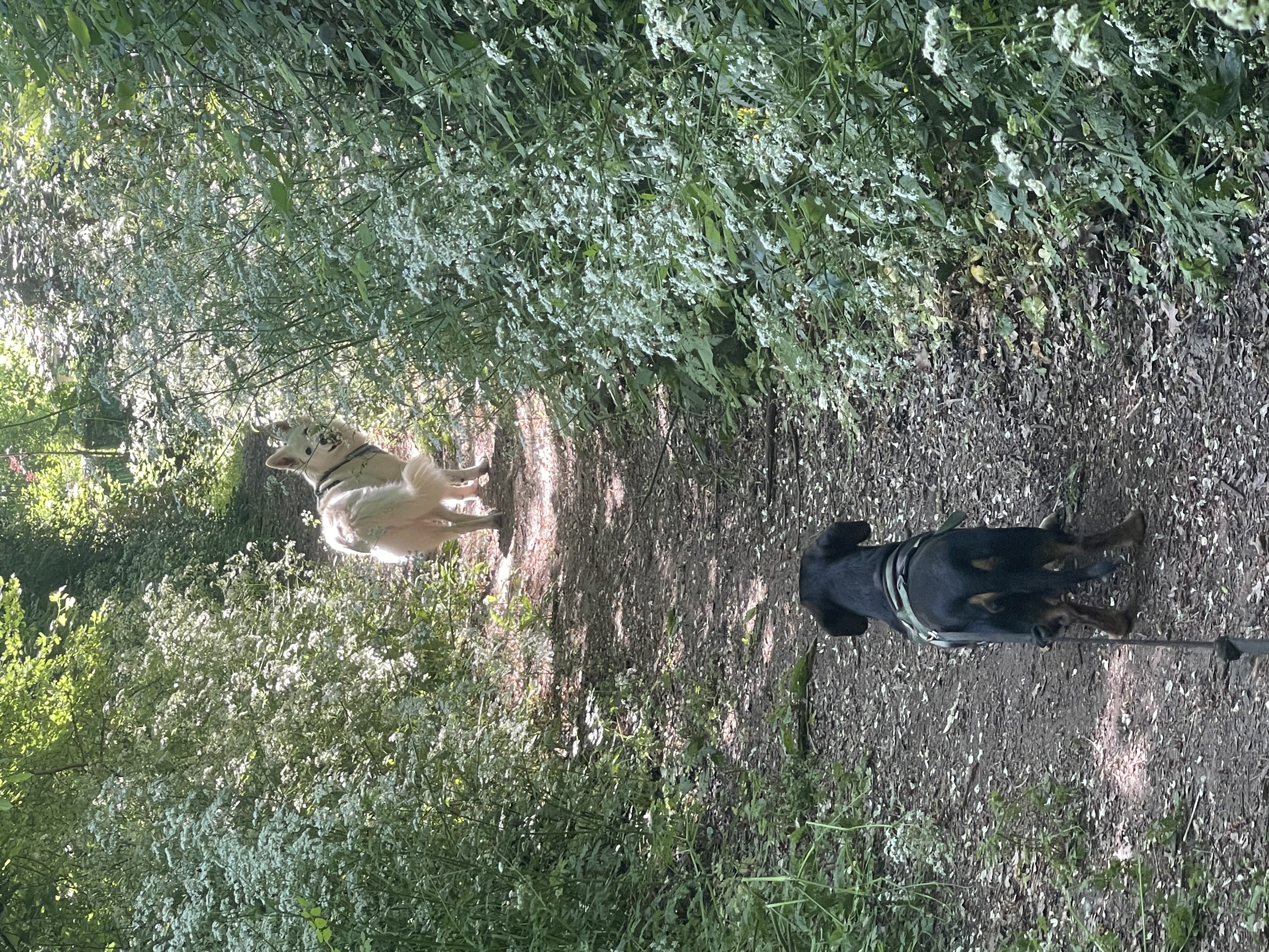 Petit Tour Lidl Ribérac